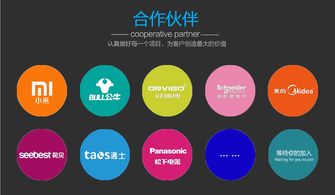 迅速開發與運營 智能電器產品的電子商務平臺模式探析